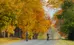 Two people biking in the fall