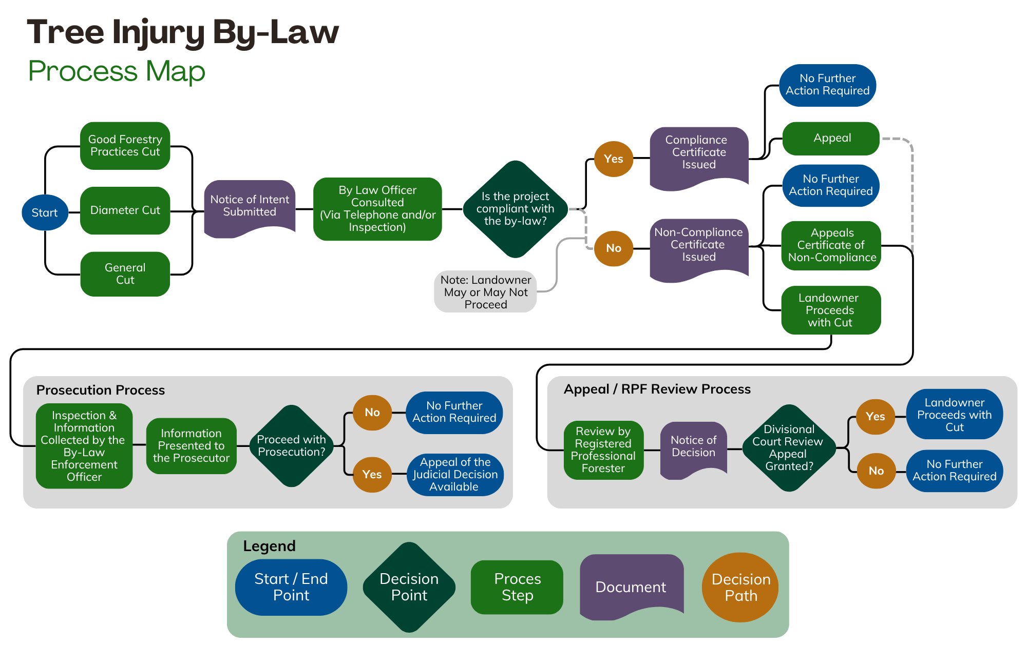 Graphic illustration of the Tree Injury By-Law Process