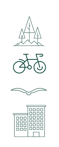 Stick drawings of trees, a bicycle, bird, and buildings