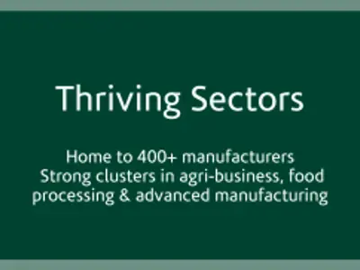 Thriving Sectors